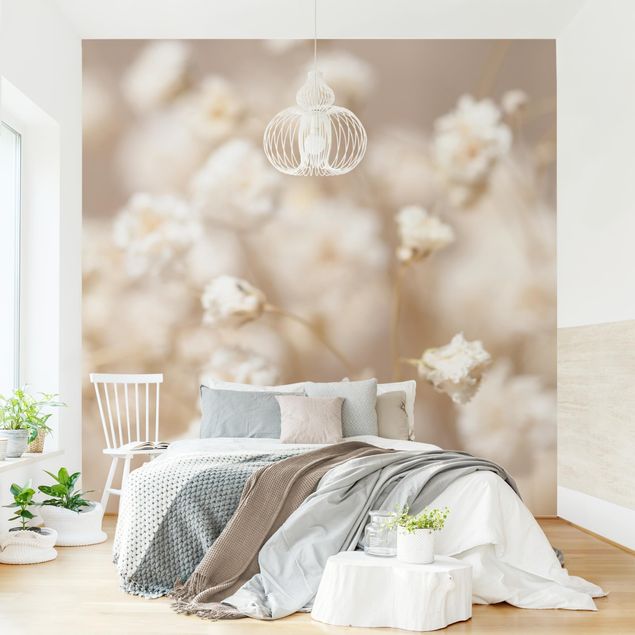 Wallpapers Beautiful Flowers In Cream Colour