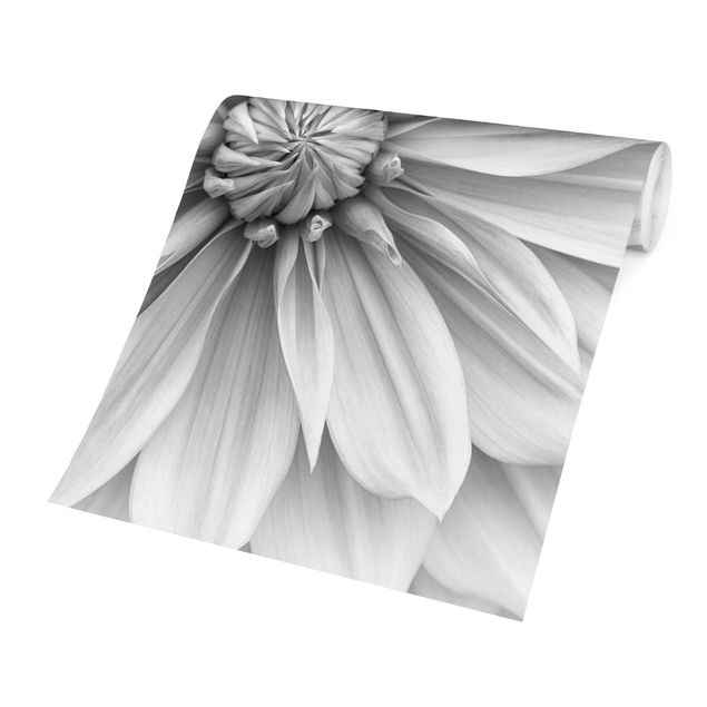 Walpaper - Botanical Blossom In White