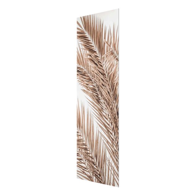 Glass print - Bronze Coloured Palm Fronds