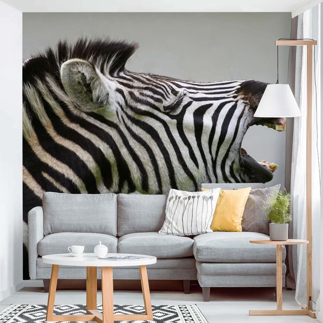 Wallpapers Roaring Zebra