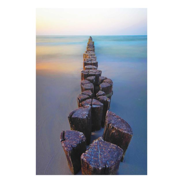 Glass print - Groynes At Sunset At The Ocean