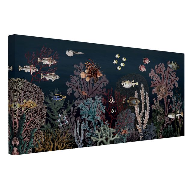 Print on canvas - Colourful coral reef at night - Landscape format 2:1