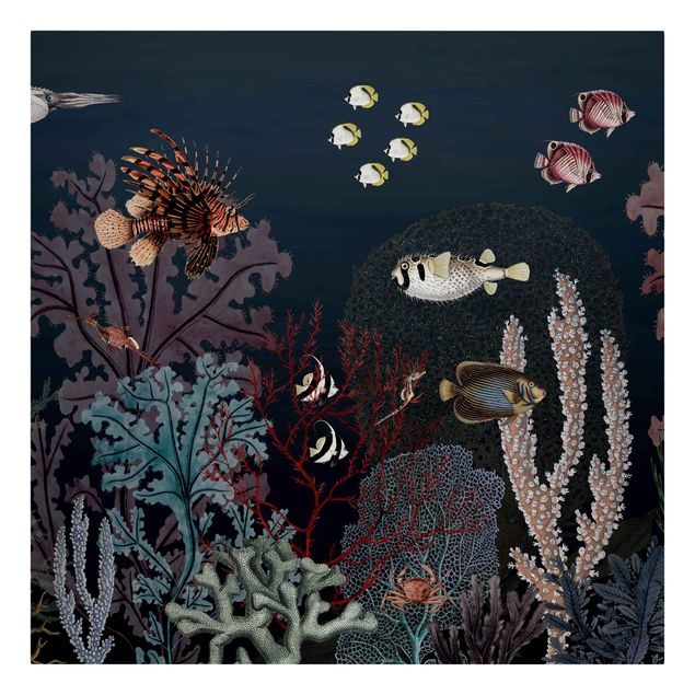 Print on canvas - Colourful coral reef at night - Square 1:1