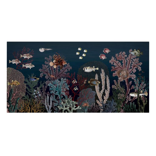 Print on canvas - Colourful coral reef at night - Landscape format 2:1
