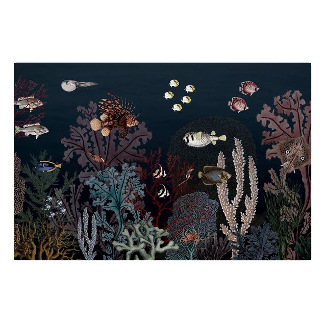 Print on canvas - Colourful coral reef at night - Landscape format 3:2