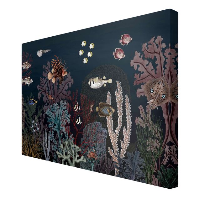 Print on canvas - Colourful coral reef at night - Landscape format 3:2