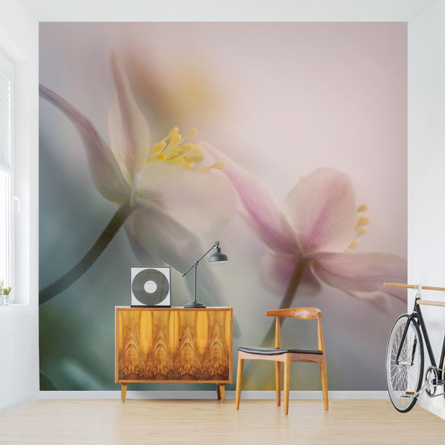 Wallpaper - Wood anemone