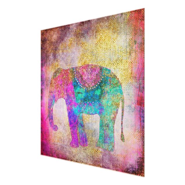 Glass print - Colourful Collage - Indian Elephant