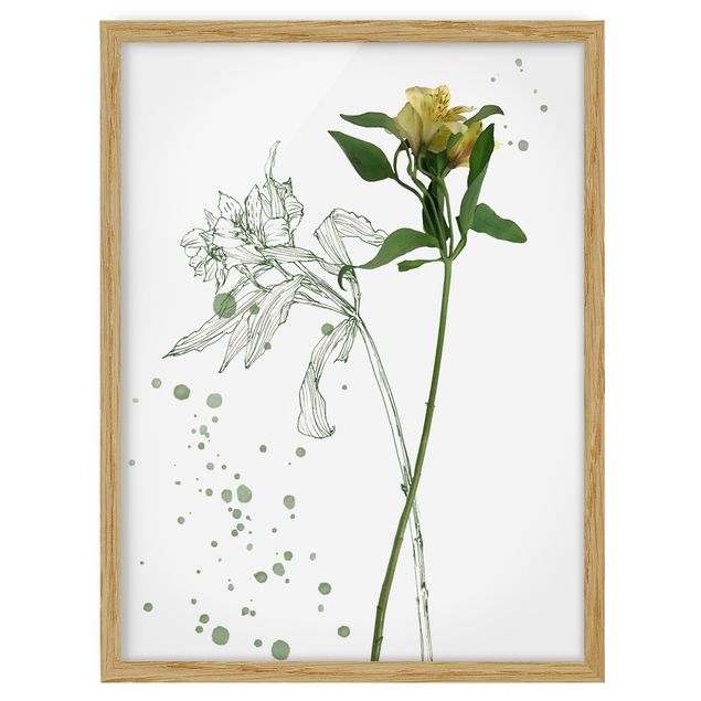 Framed poster - Botanical Watercolour - Lily