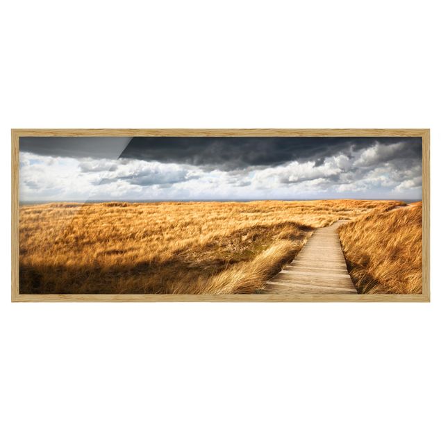 Framed poster - Path Between Dunes