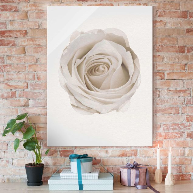 Glass print - WaterColours - Pretty White Rose