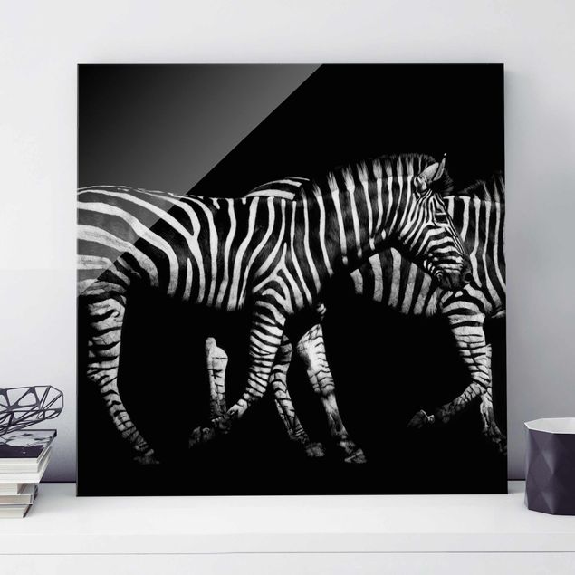 Glass print - Zebra In The Dark