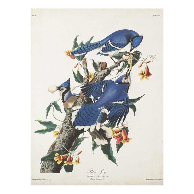 Glass print - Vintage Board Blue Jays