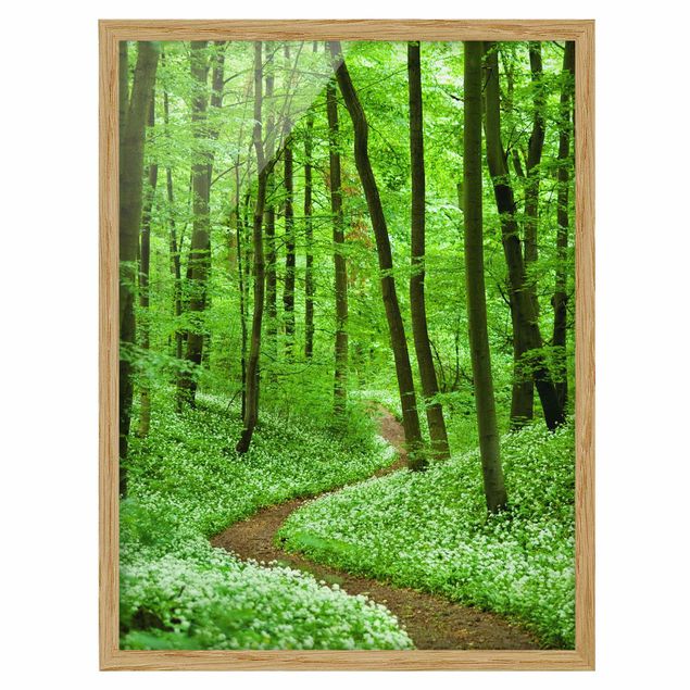 Framed poster - Romantic Forest Track
