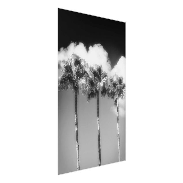 Glass print - Palm Trees Against The Sky Black And White