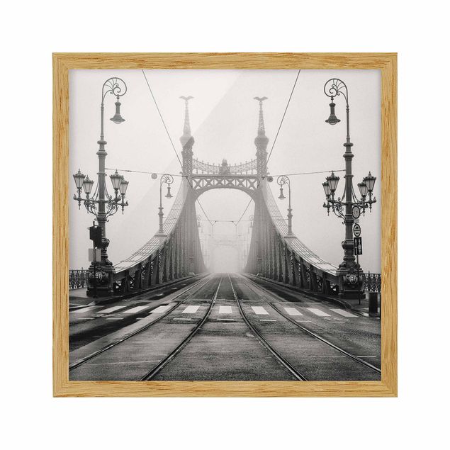 Framed poster - Bridge in Budapest