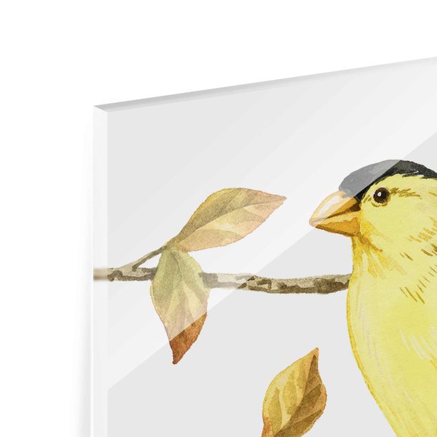 Glass print - Birds And Berries - American Goldfinch