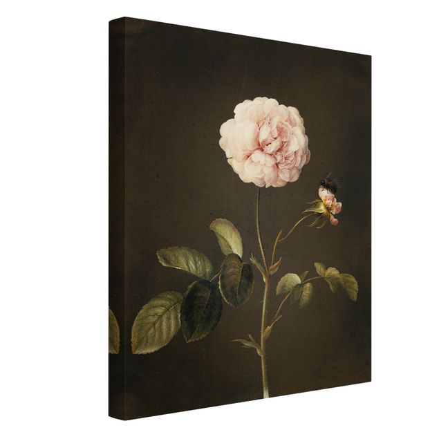 Canvas print - Barbara Regina Dietzsch - French Rose With Bumblbee