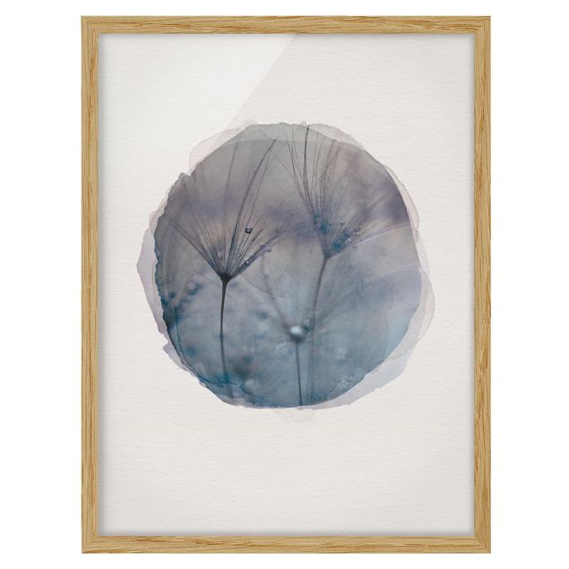 Framed poster - Water Colours - Blue Feathers In The Rain