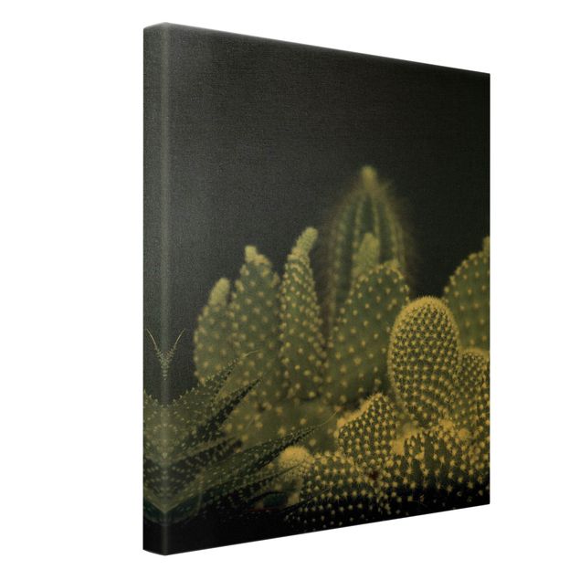 Canvas print gold - Familiy Of Cacti At Night