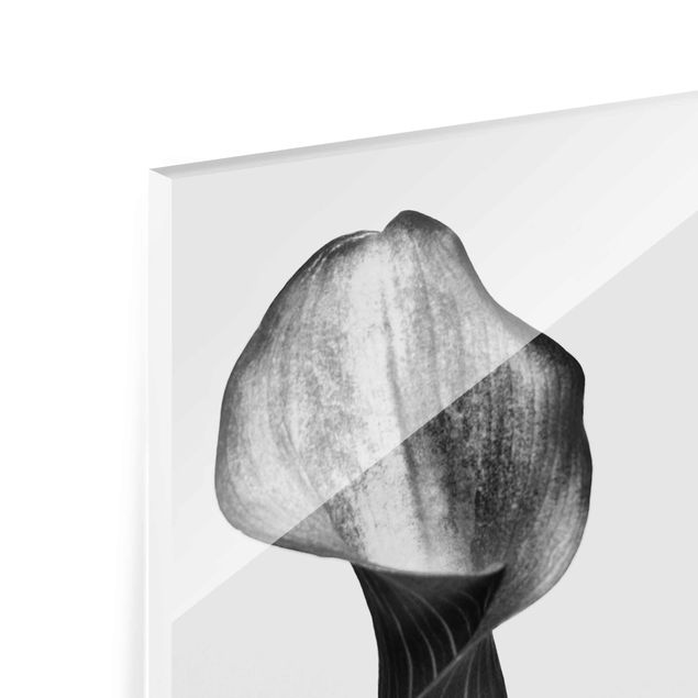 Glass print - Calla Close-Up Black And White