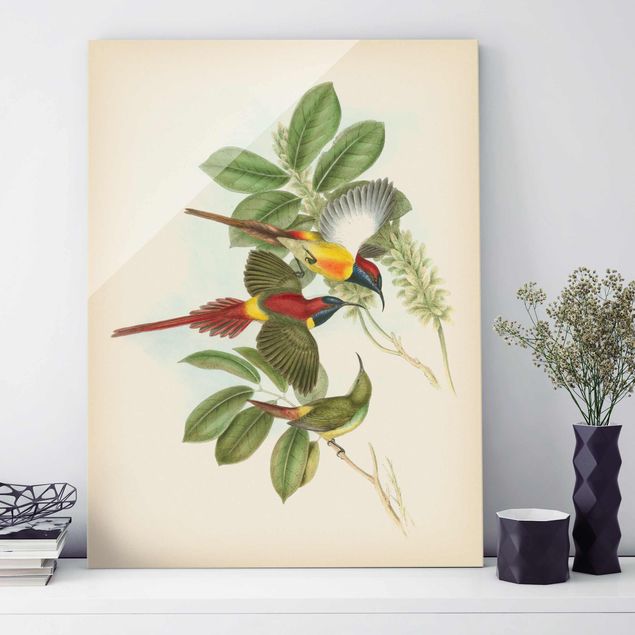 Glas Magnetboard Vintage Illustration Tropical Birds III