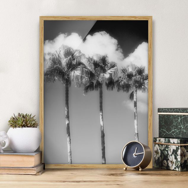 Framed poster - Palm Trees Against The Sky Black And White