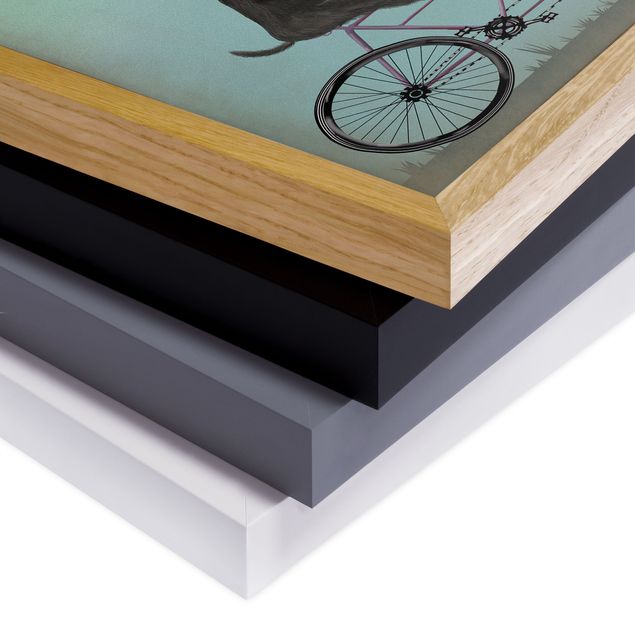 Framed poster - Cycling - Schnauzer Tandem