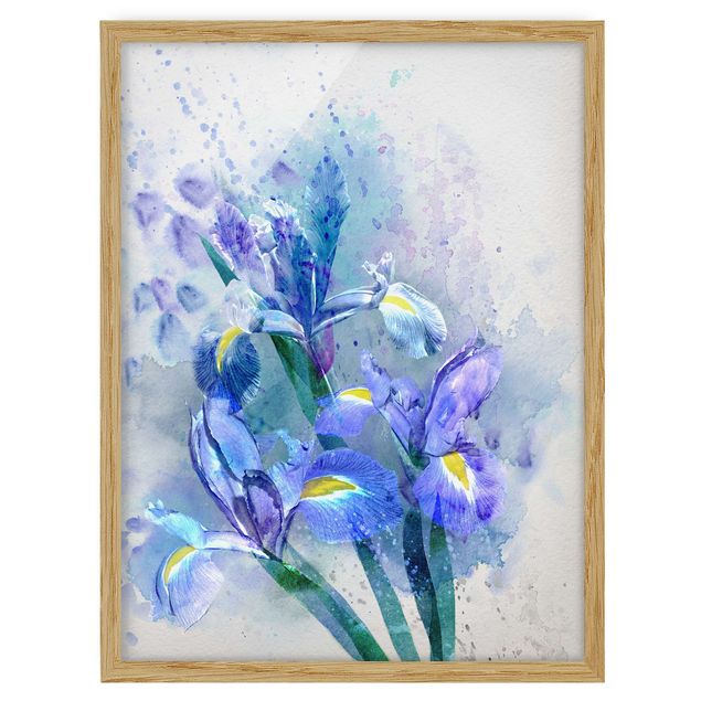 Framed poster - Watercolour Flowers Iris