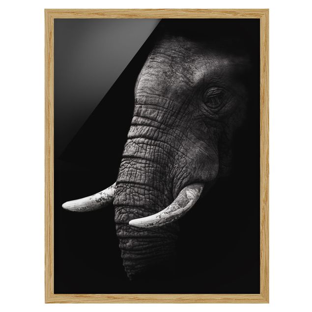 Framed poster - Dark Elephant Portrait