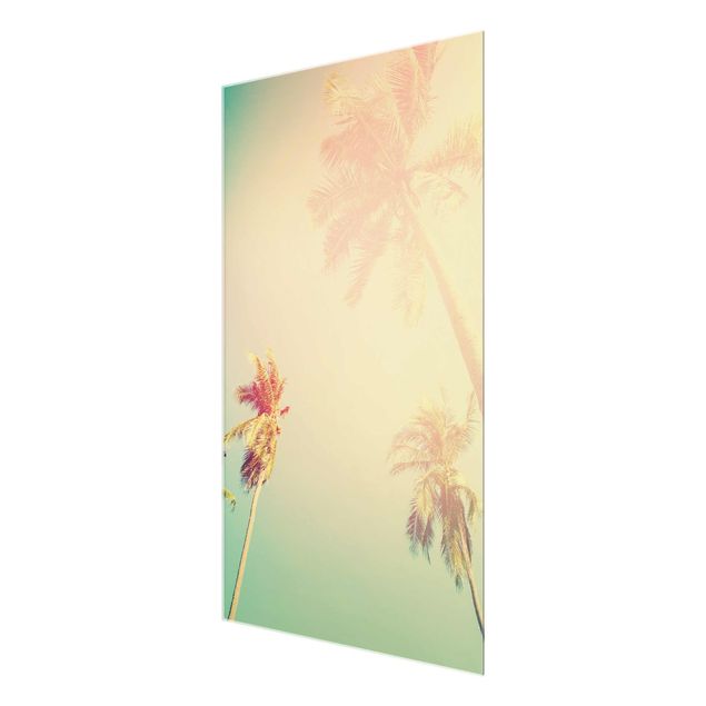 Glass print - Tropical Plants Palm Trees At Sunset IIl