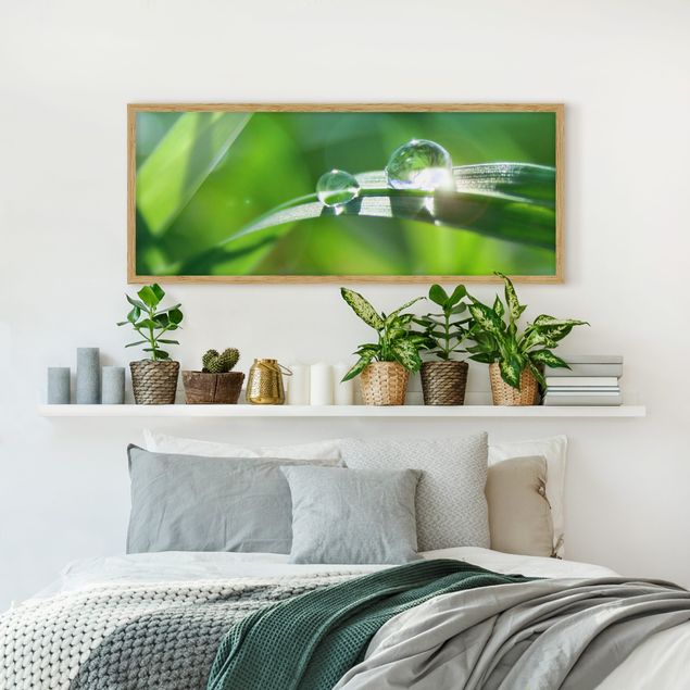 Framed poster - Green Ambiance II