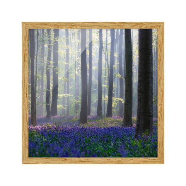 Framed poster - Spring Day In The Forest