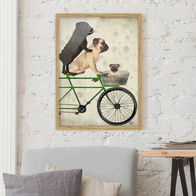 Framed poster - Cycling - Pugs On Bike