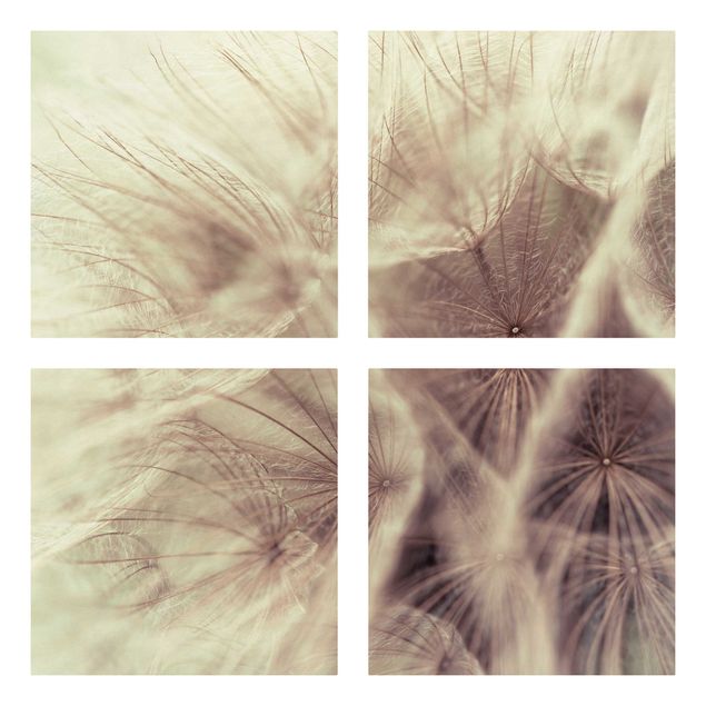Print on canvas 4 parts - Detailed Dandelion Macro Shot With Vintage Blur Effect