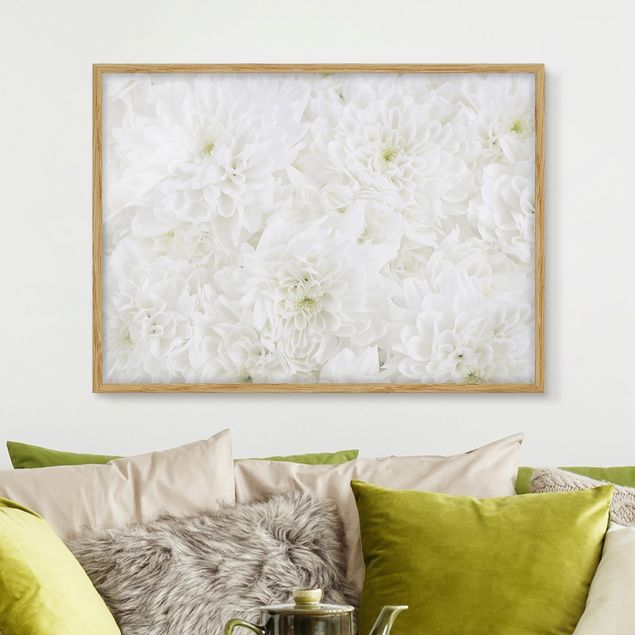 Framed poster - Dahlias Sea Of Flowers White