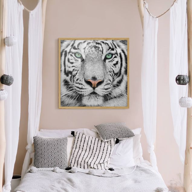 Framed poster - White Tiger