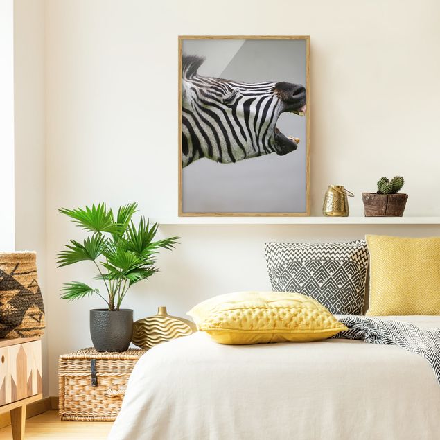 Framed poster - Roaring Zebra