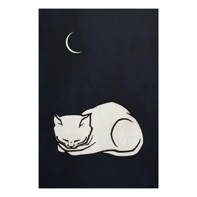 Glass print - Sleeping Cat Illustration