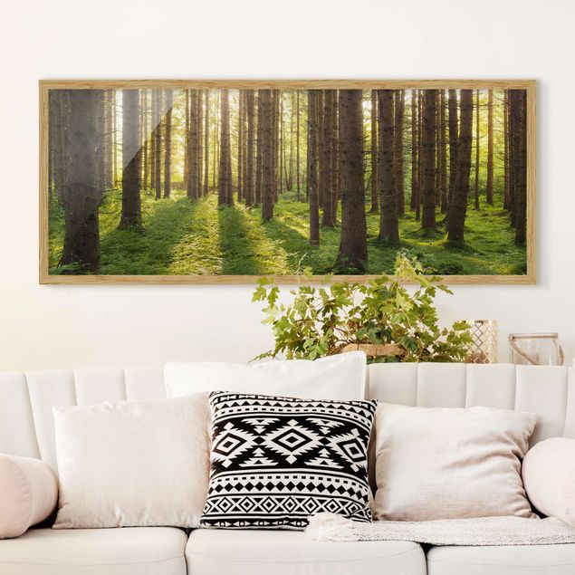 Framed poster - Sun Rays In Green Forest