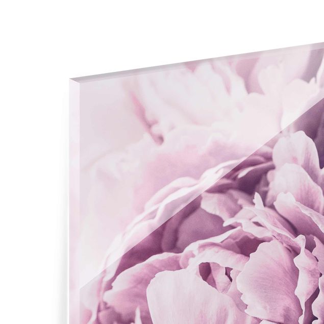 Glass print - Purple Peony Blossoms