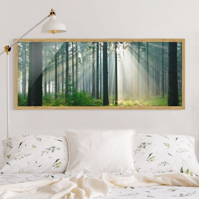 Framed poster - Enlightened Forest