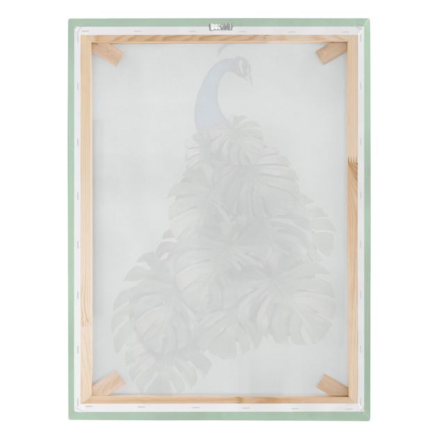 Canvas print - Peacock With Monstera Leaves