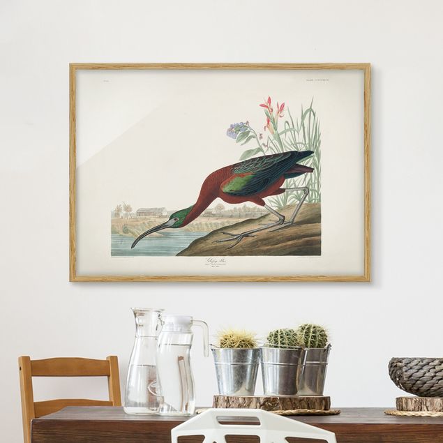 Framed poster - Vintage Board Brown Ibis