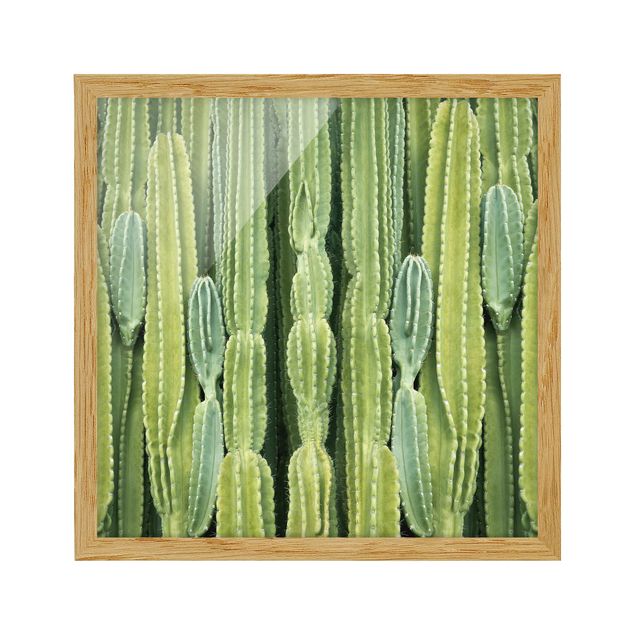Framed poster - Cactus Wall