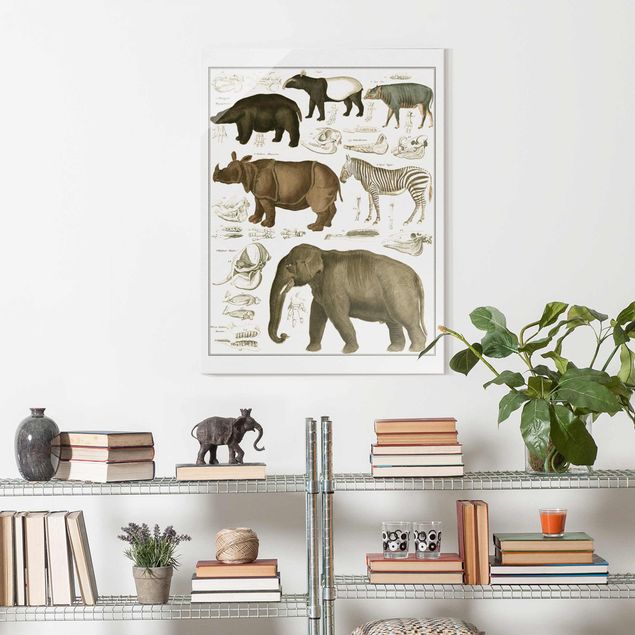 Glass print - Vintage Board Elephant, Zebra And Rhino