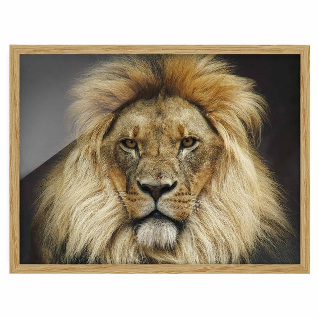 Framed poster - Wisdom Of Lion