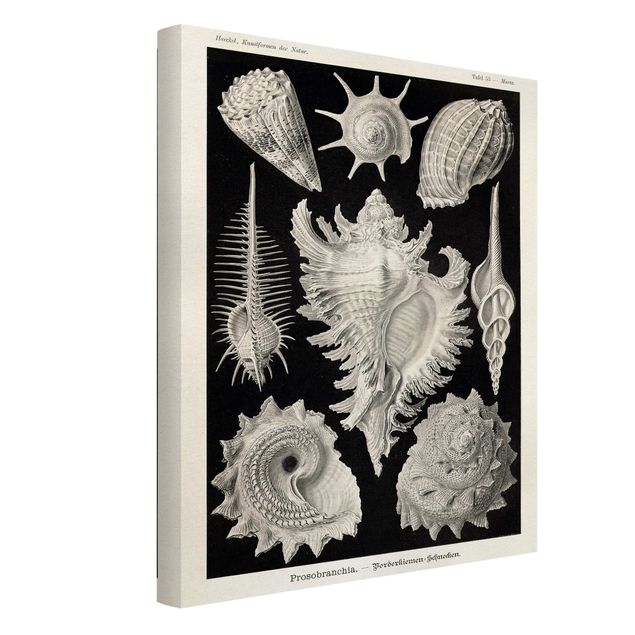 Print on canvas - Vintage Board Mussels I