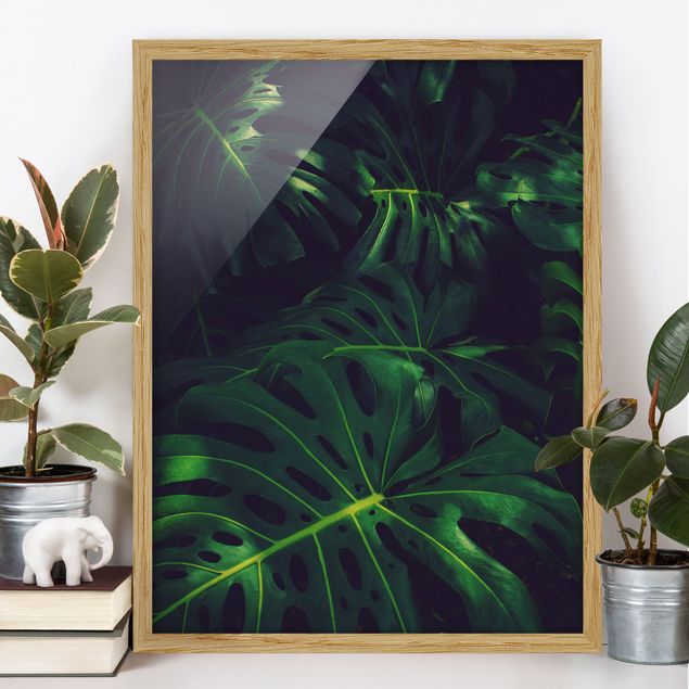 Framed poster - Monstera Jungle