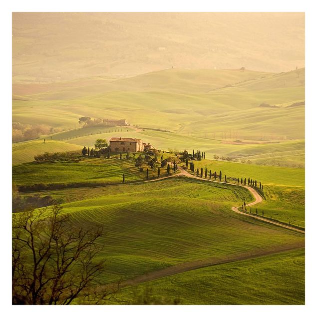 Wallpaper - Chianti Tuscany
